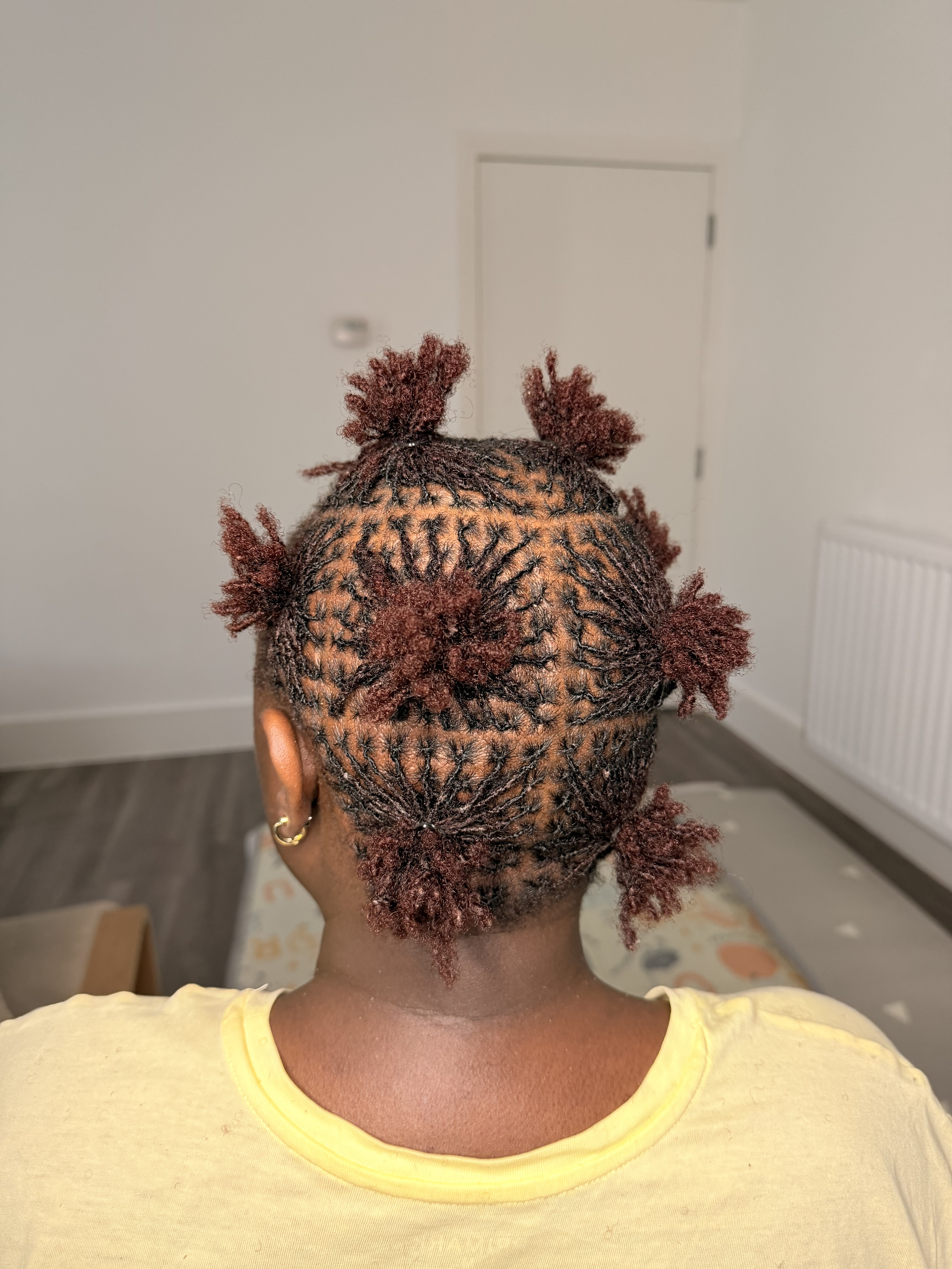 Sisterlocks 3